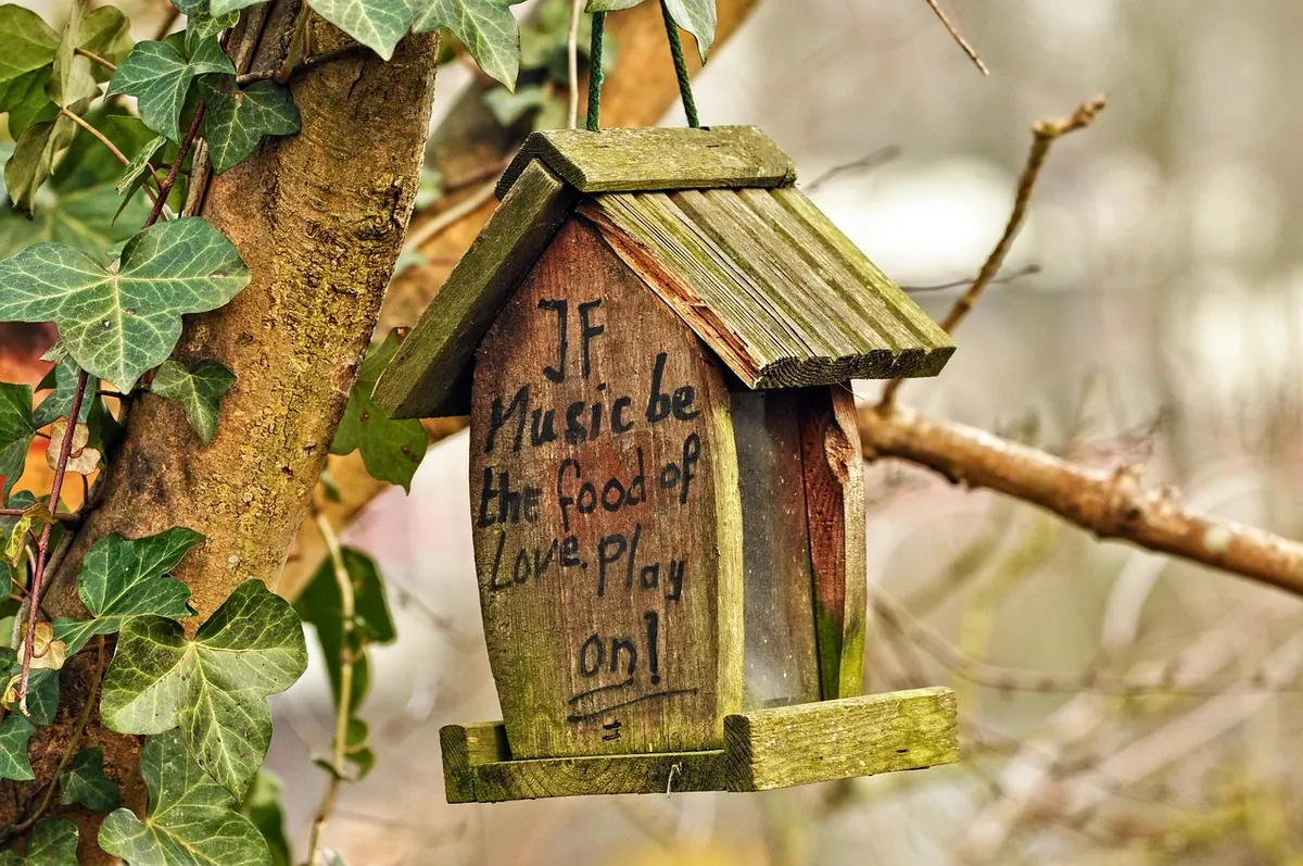 Wildlife Crafts: Build a Weatherproof Kestrel Nest Box for Your Garden